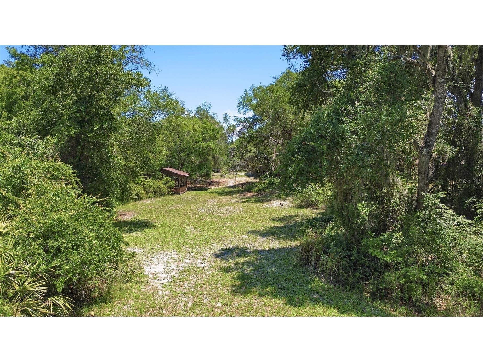 3915 S Spaniel Trail Inverness FL 34450 - TSALA APOPKA CHAIN OF LAKES O6408634 image49