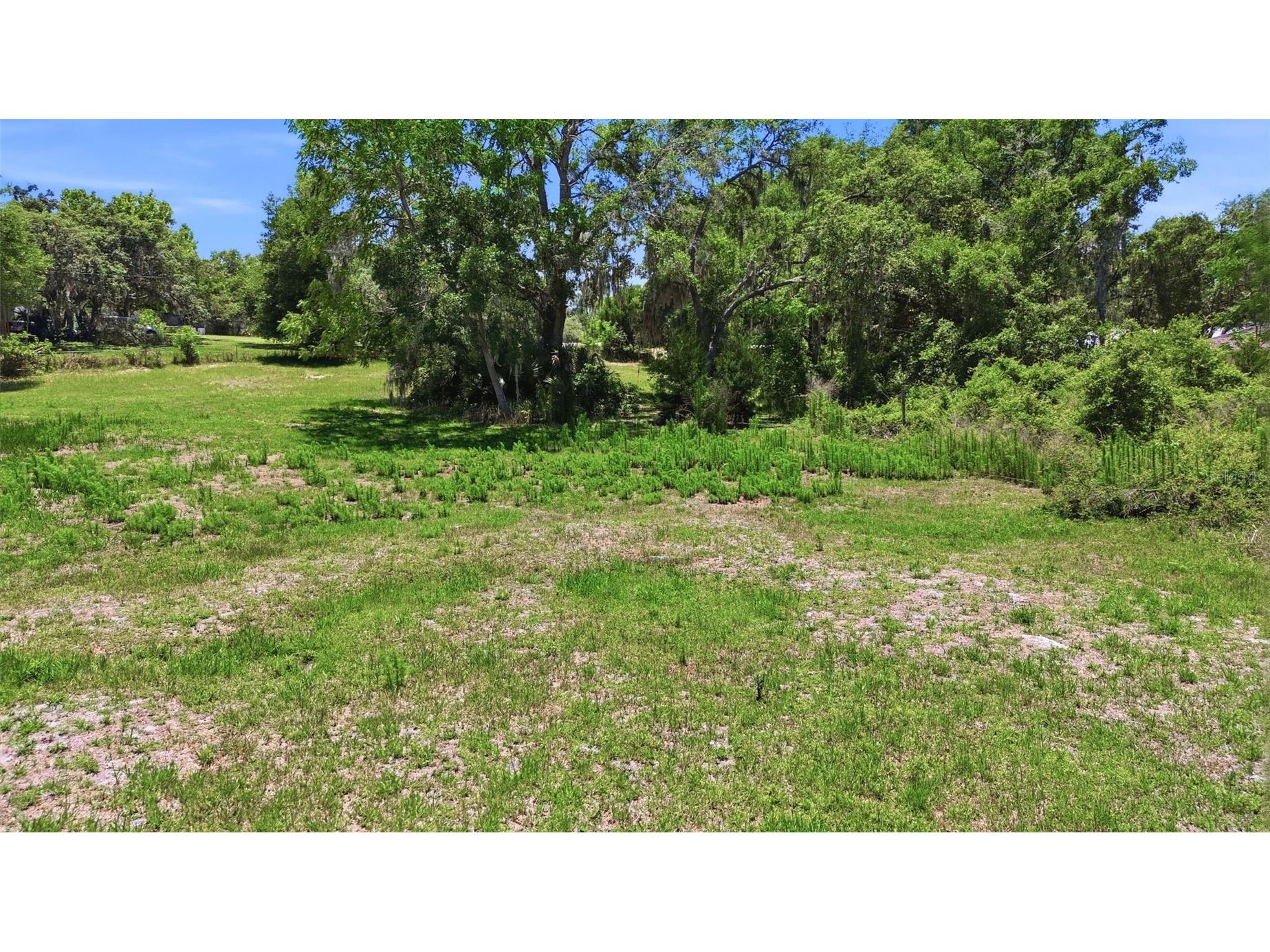 3915 S Spaniel Trail Inverness FL 34450 - TSALA APOPKA CHAIN OF LAKES O6408634 image50