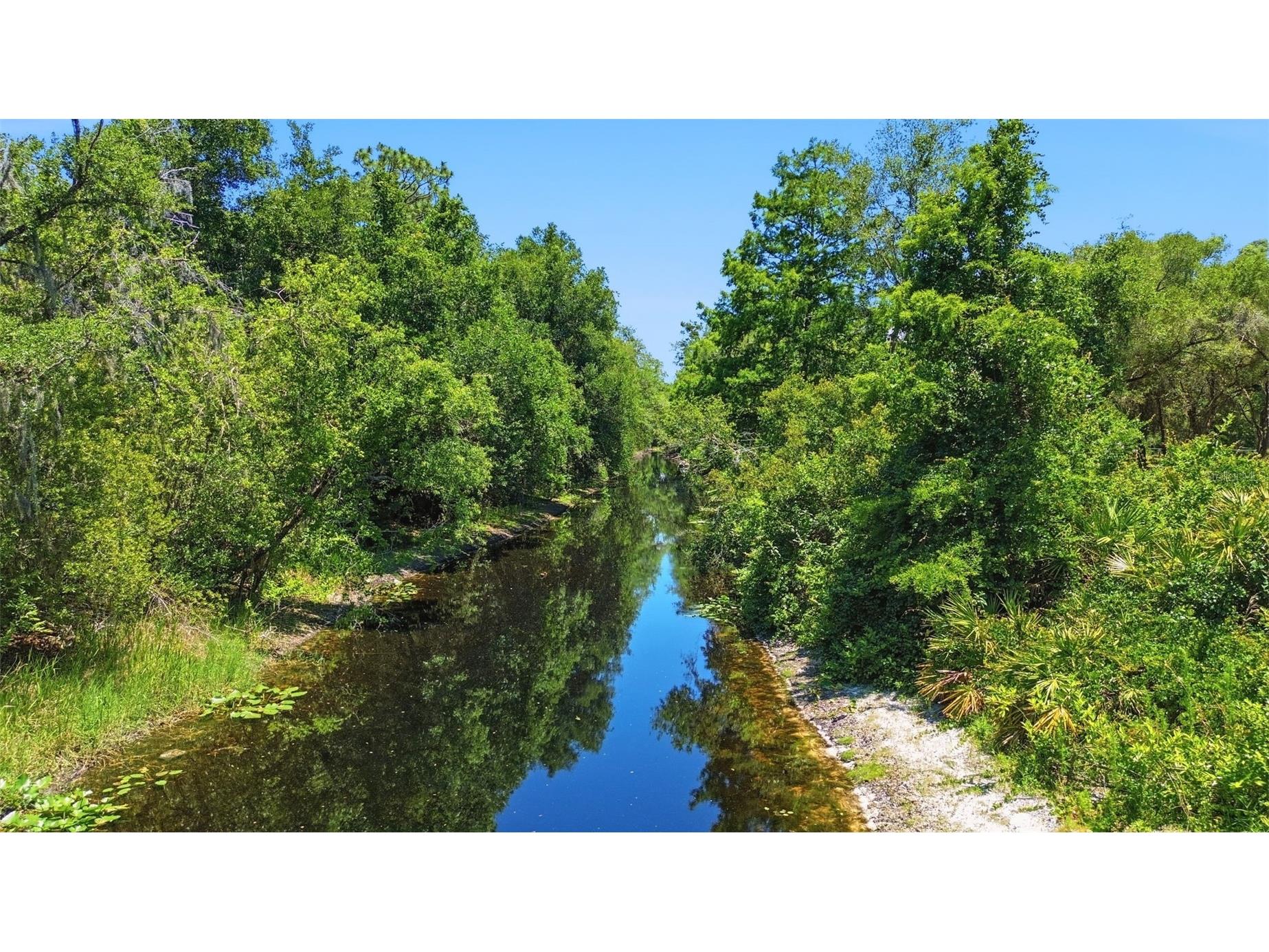 3915 S Spaniel Trail Inverness FL 34450 - TSALA APOPKA CHAIN OF LAKES O6408634 image51