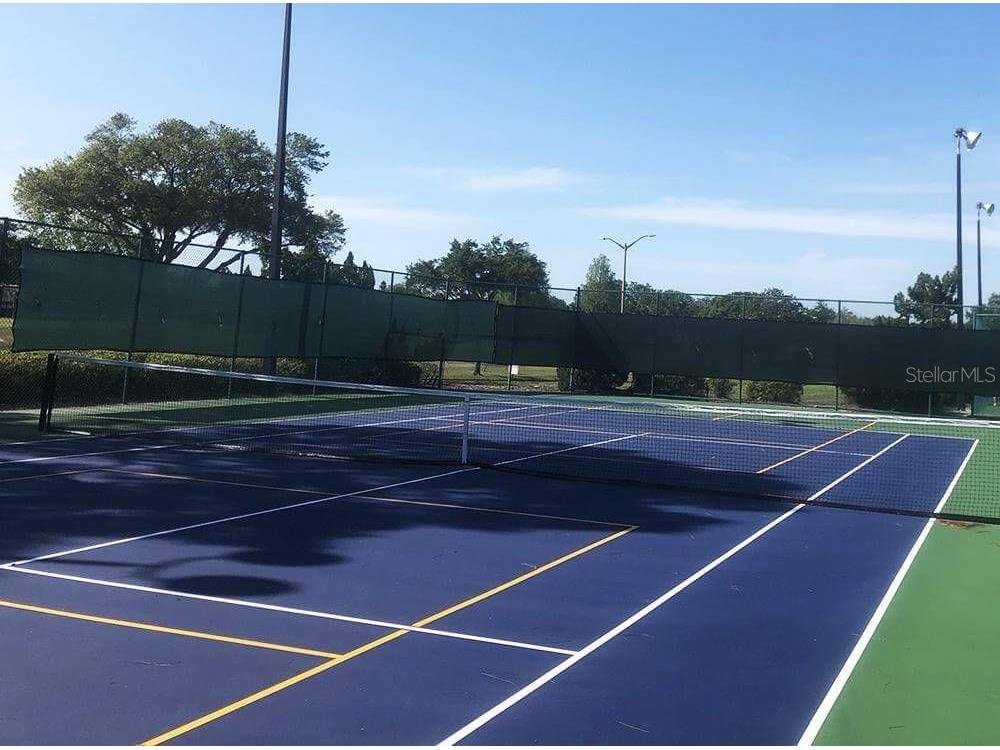 3916 Atrium Drive Drive #4 Orlando FL 32822 - LAKE FREDERICA O6336168 image41