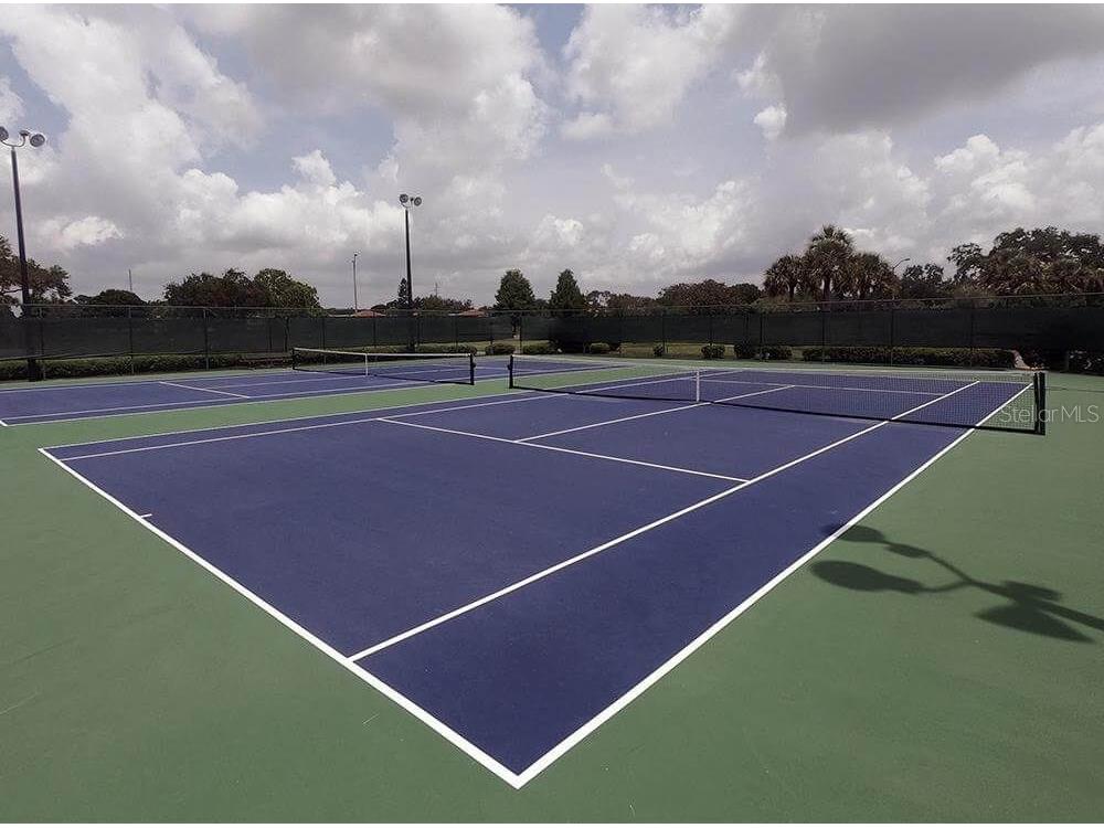 3916 Atrium Drive Drive #4 Orlando FL 32822 - LAKE FREDERICA O6336168 image42