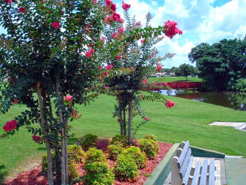 3916 Atrium Drive Drive #4 Orlando FL 32822 - LAKE FREDERICA O6336168 image45