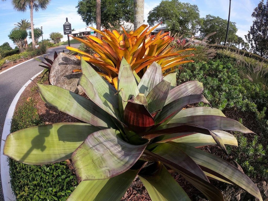 3916 Atrium Drive Drive #4 Orlando FL 32822 - LAKE FREDERICA O6336168 image48