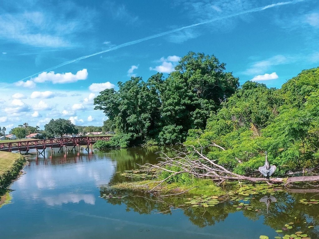 3916 Atrium Drive Drive #4 Orlando FL 32822 - LAKE FREDERICA O6336168 image57