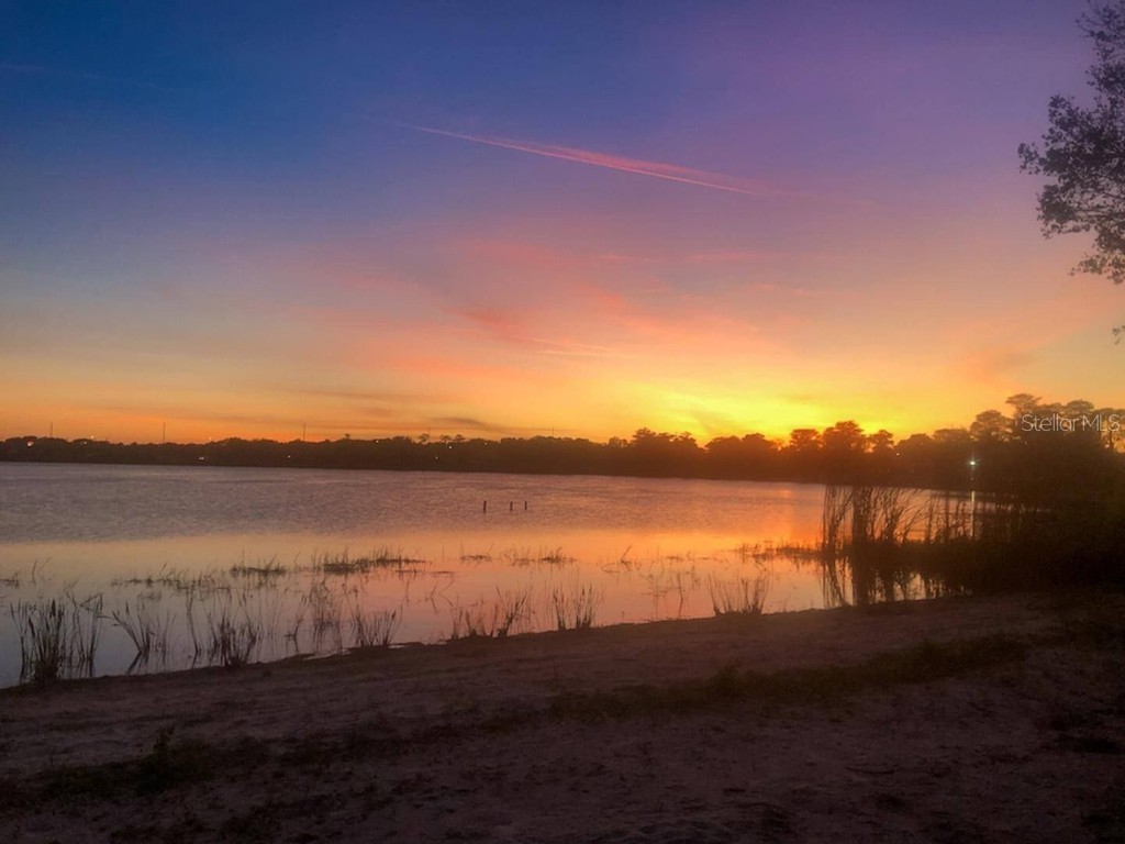 3916 Atrium Drive Drive #4 Orlando FL 32822 - LAKE FREDERICA O6336168 image58