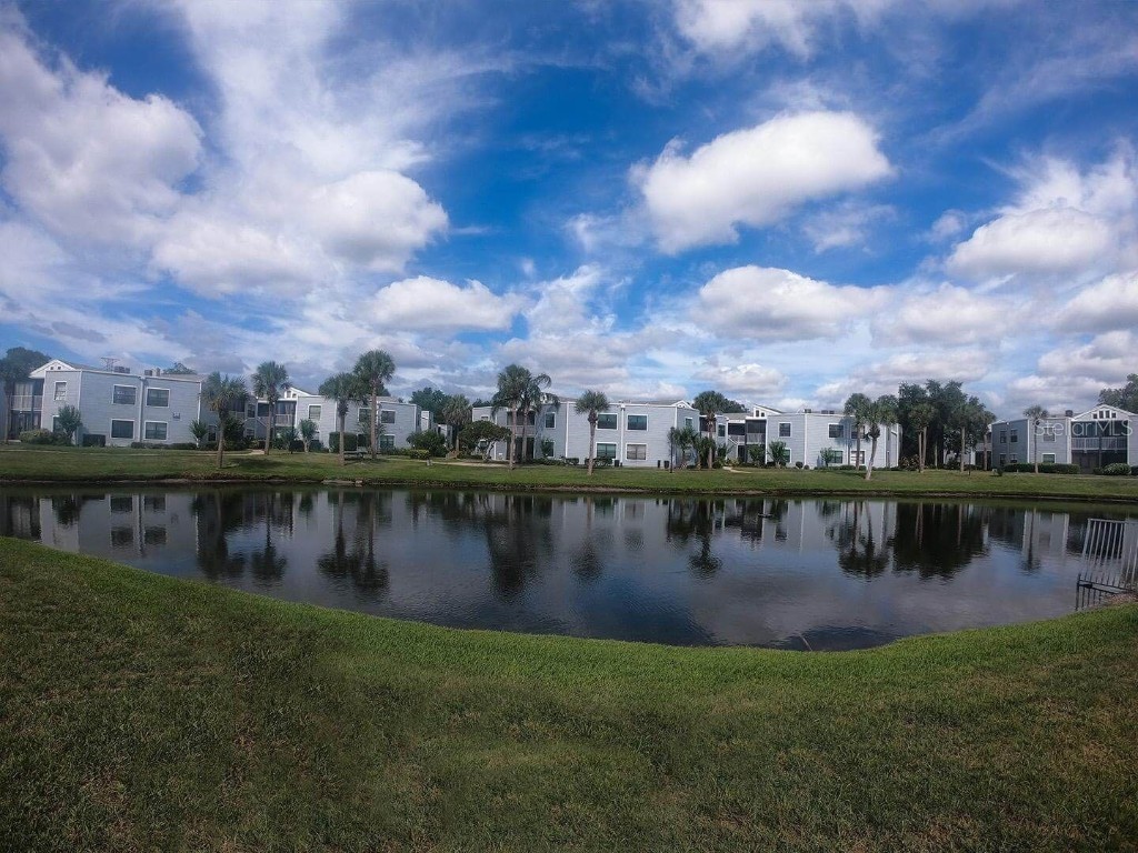 3916 Atrium Drive Drive #4 Orlando FL 32822 - LAKE FREDERICA O6336168 image62