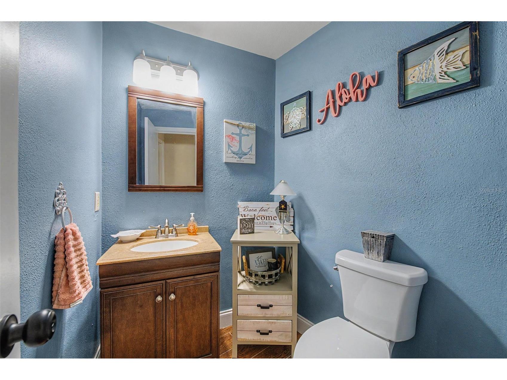3916 Broomsedge Lane Valrico FL 33596 TB8518406 image23