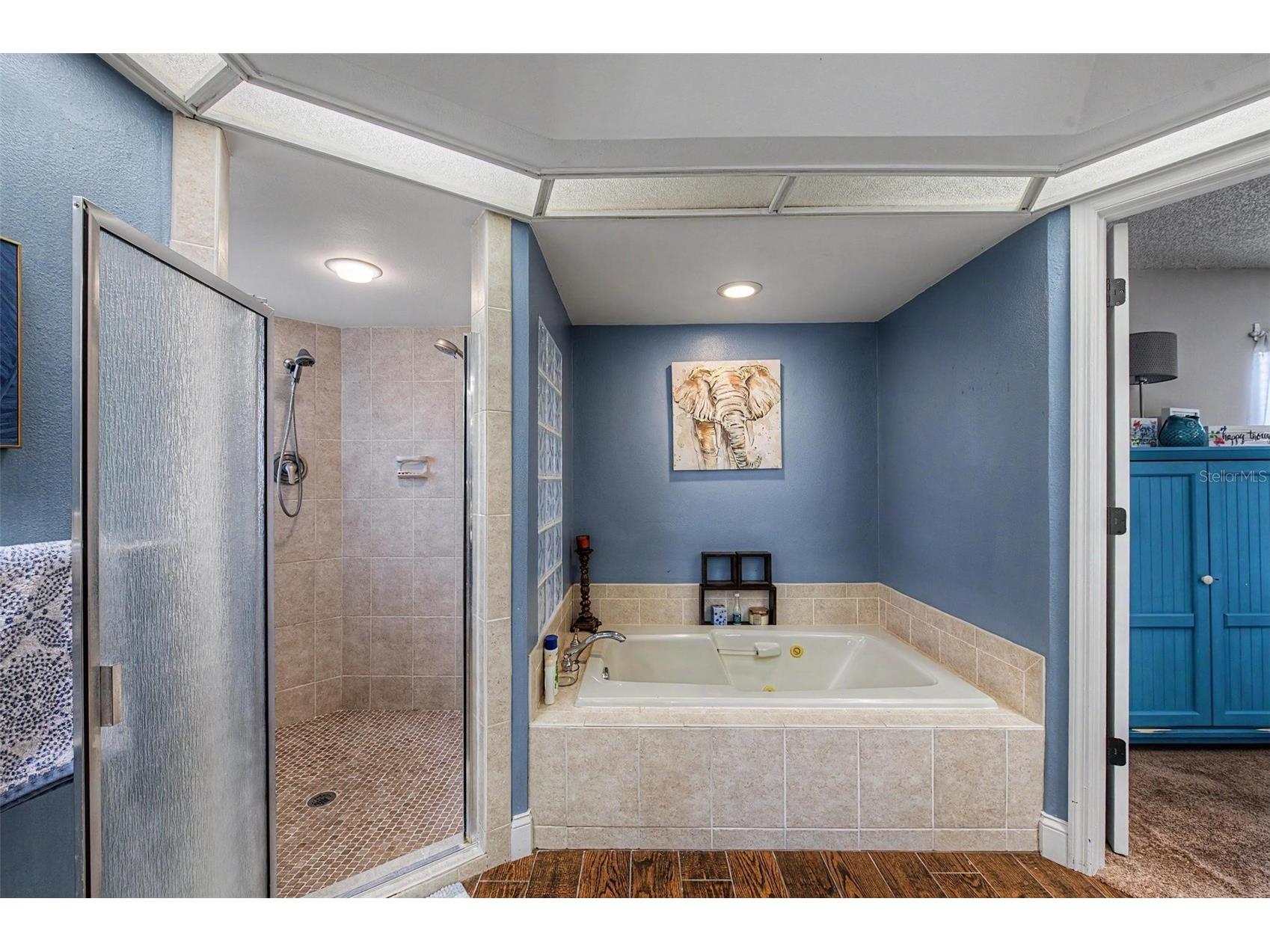 3916 Broomsedge Lane Valrico FL 33596 TB8518406 image27