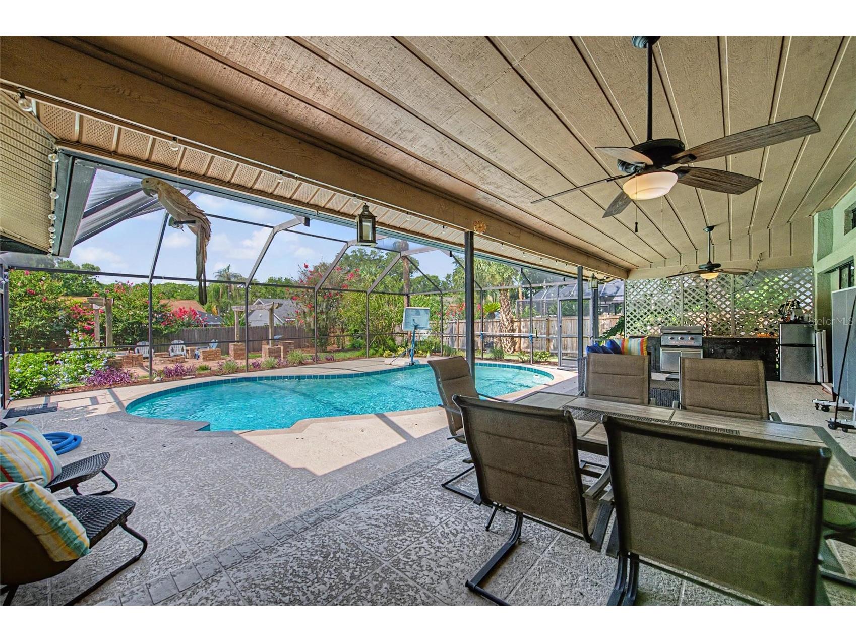 3916 Broomsedge Lane Valrico FL 33596 TB8518406 image37