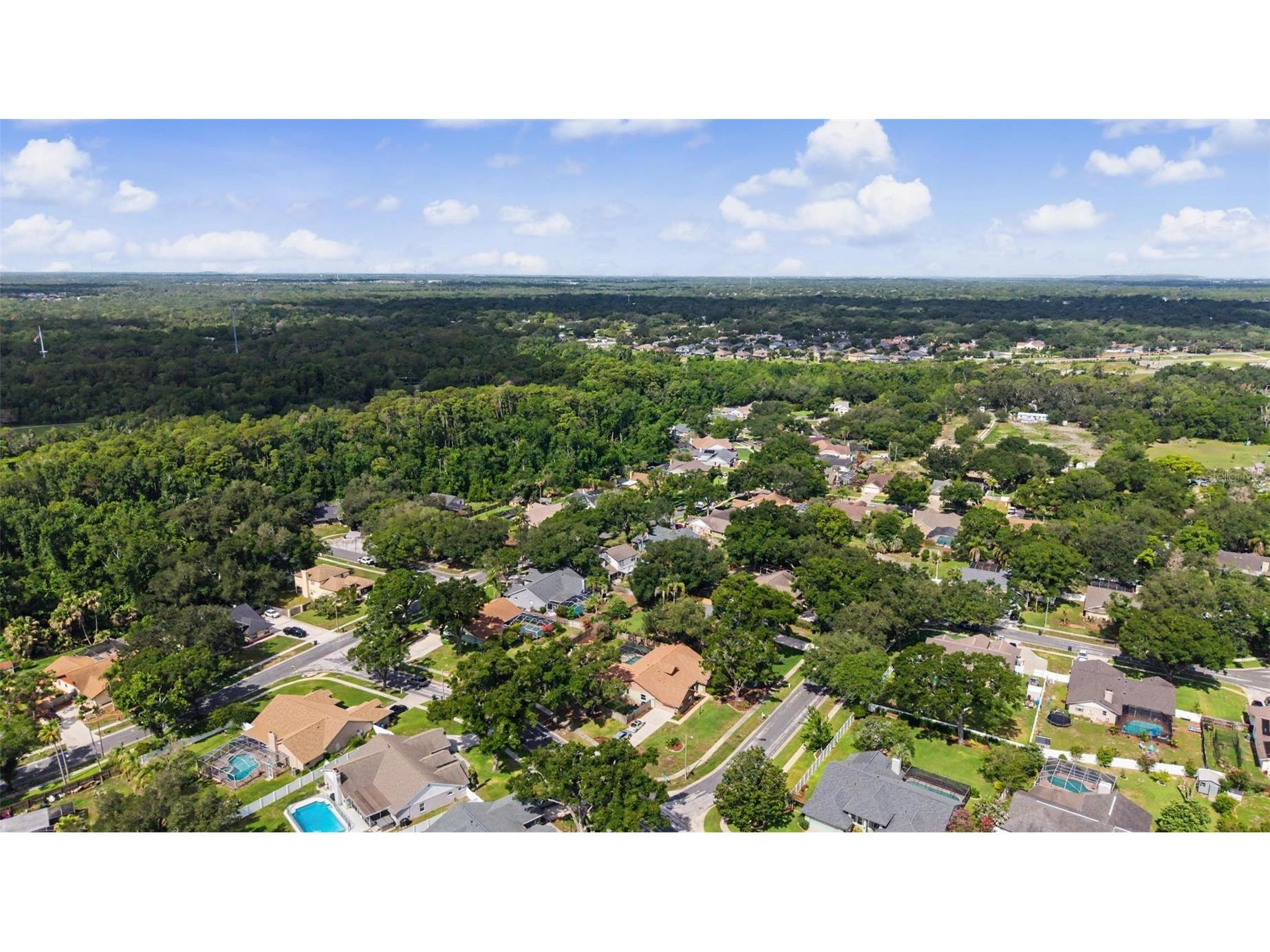 3916 Broomsedge Lane Valrico FL 33596 TB8518406 image50