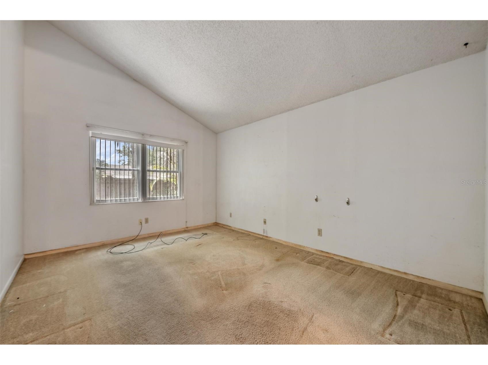 3916 Casaba Loop Valrico FL 33596 TB8496821 image17