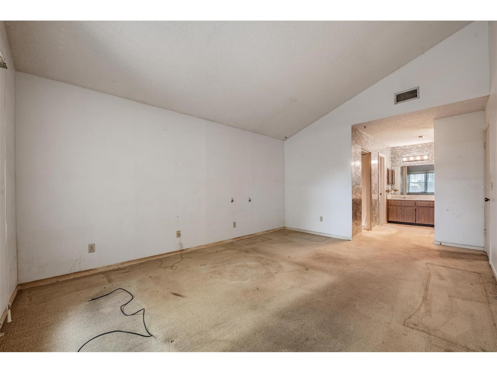3916 Casaba Loop Valrico FL 33596 TB8496821 image18