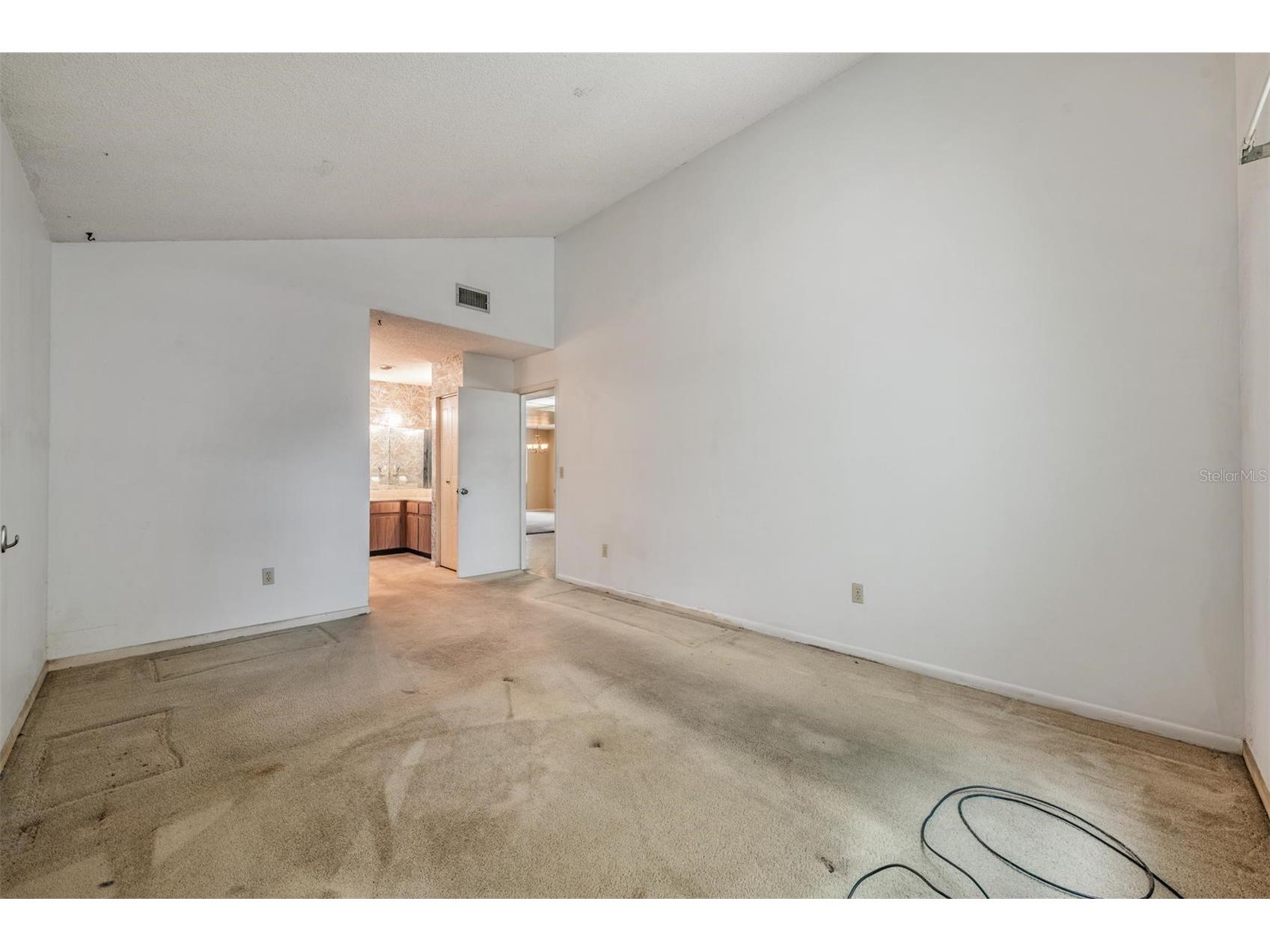 3916 Casaba Loop Valrico FL 33596 TB8496821 image19