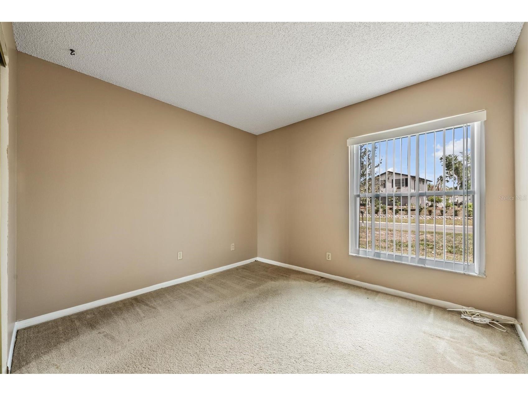 3916 Casaba Loop Valrico FL 33596 TB8496821 image23