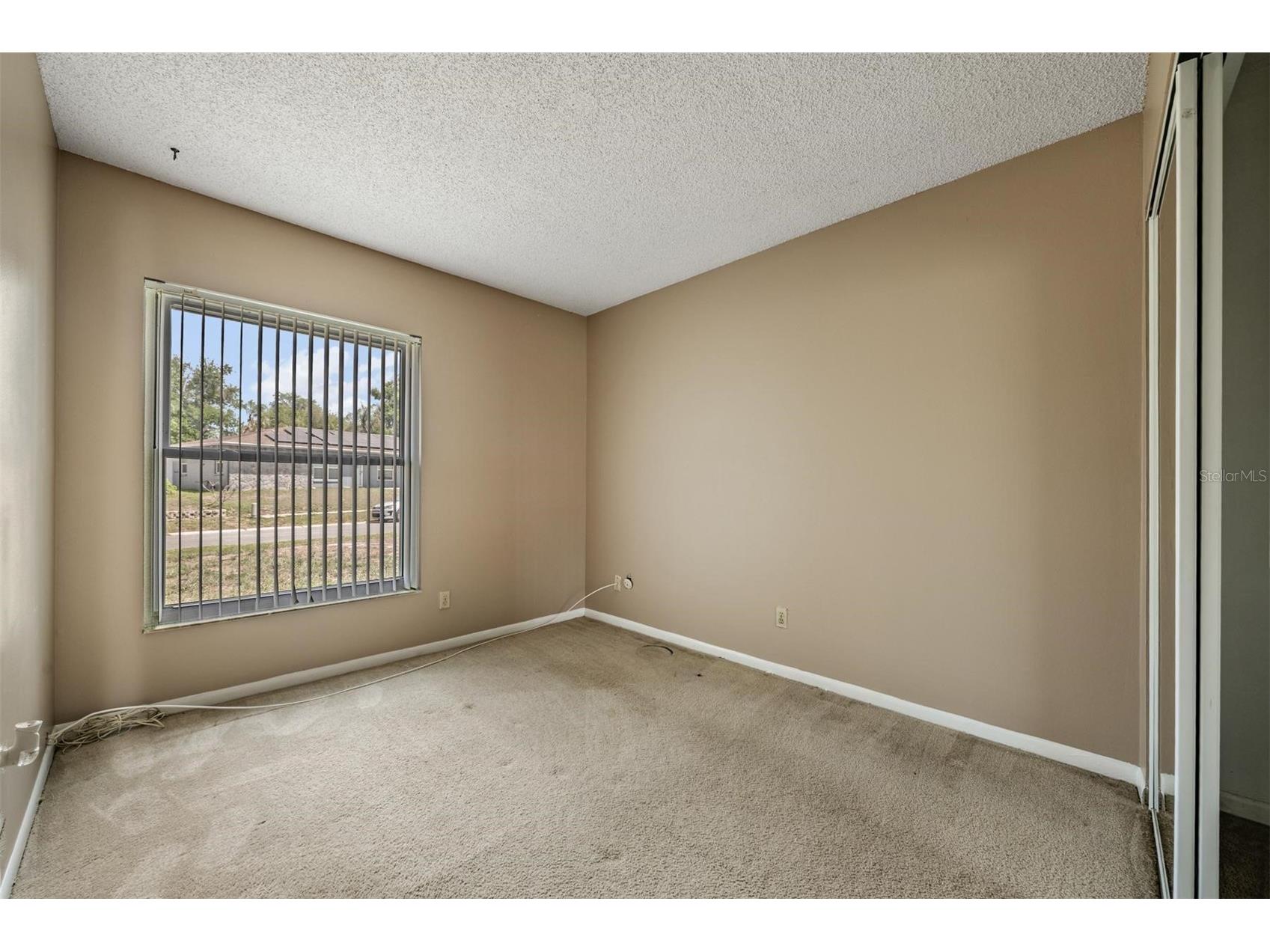 3916 Casaba Loop Valrico FL 33596 TB8496821 image25