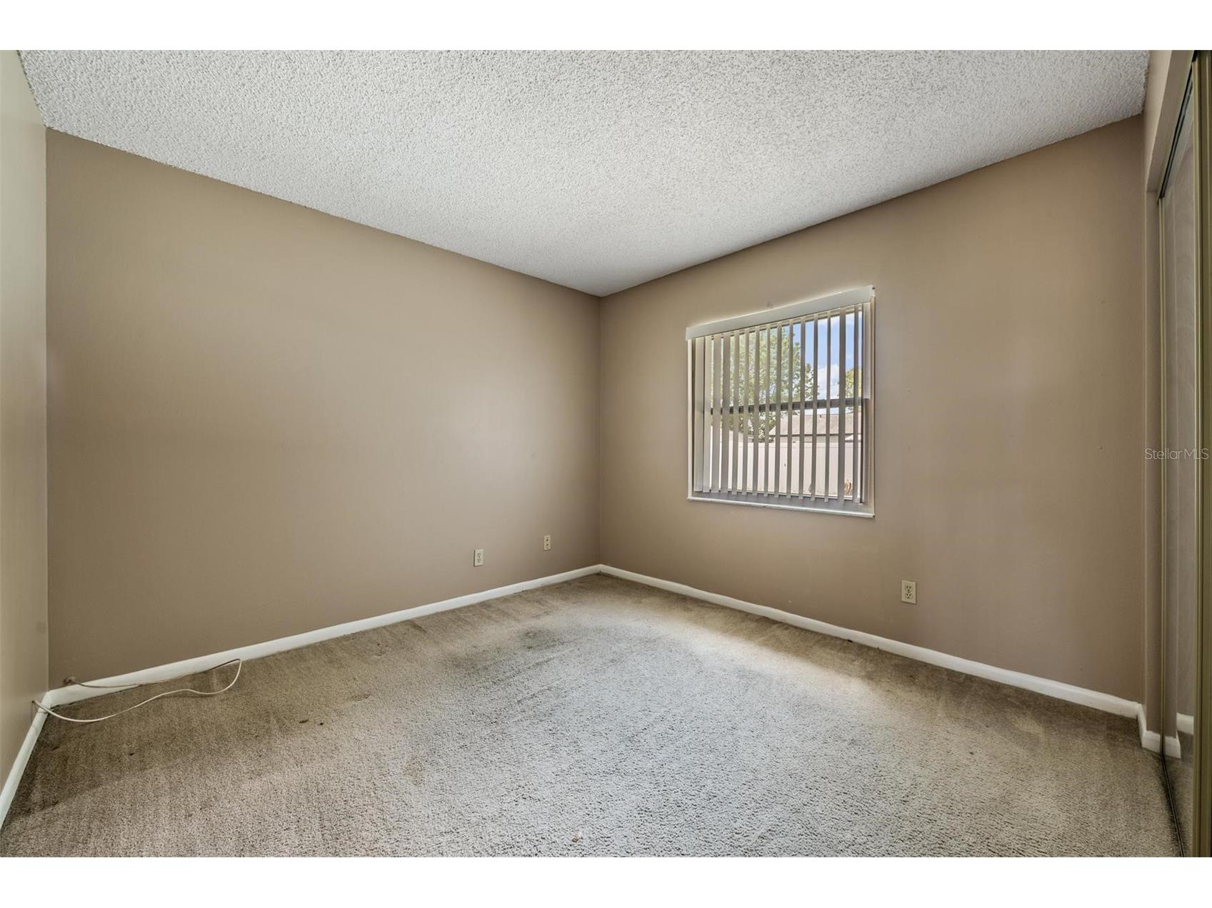 3916 Casaba Loop Valrico FL 33596 TB8496821 image28