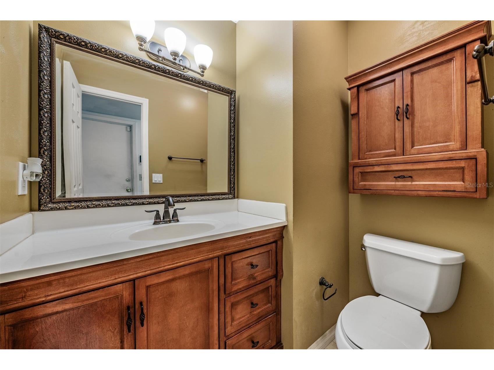 3916 Casaba Loop Valrico FL 33596 TB8496821 image30
