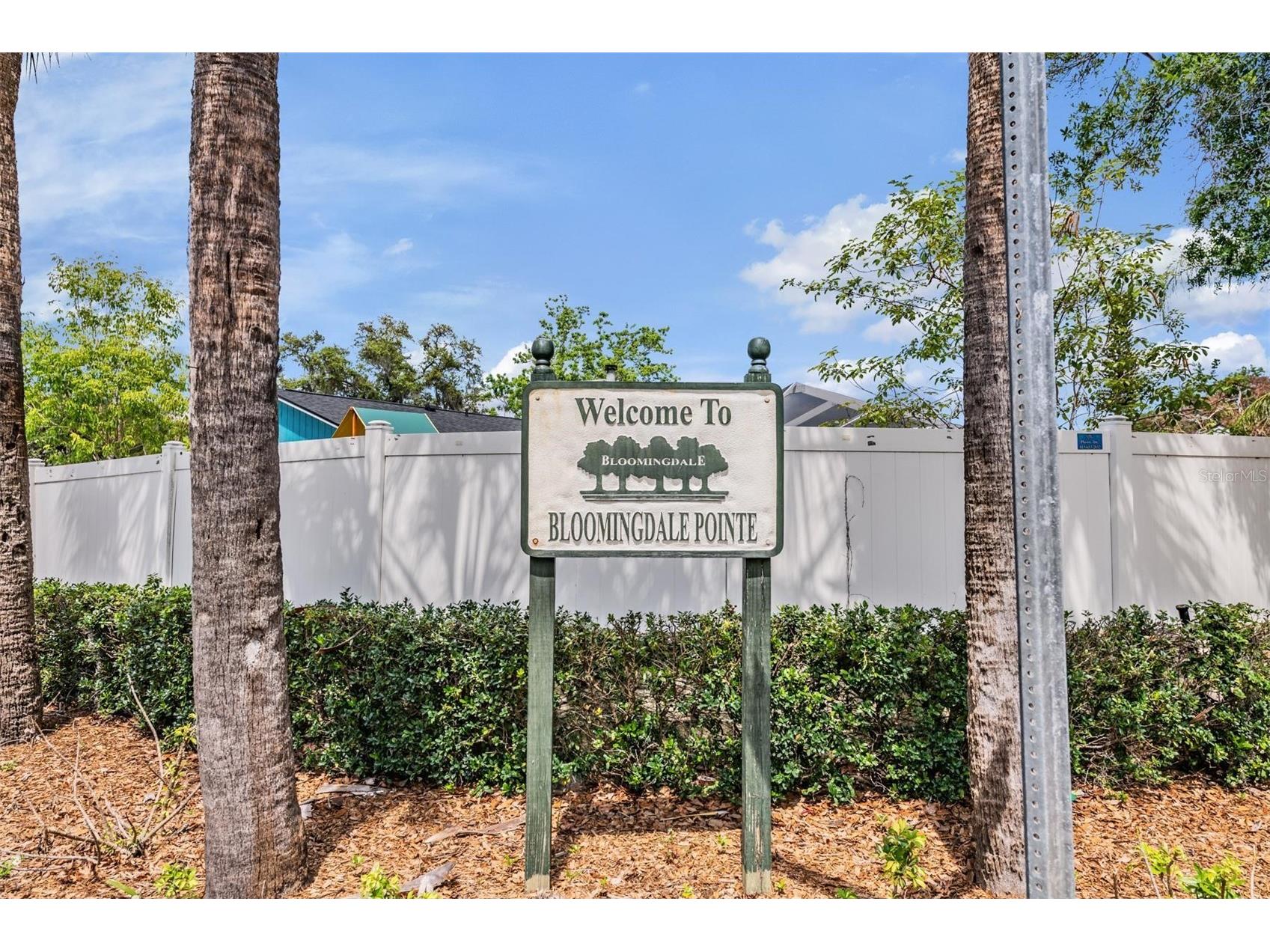 3916 Casaba Loop Valrico FL 33596 TB8496821 image35