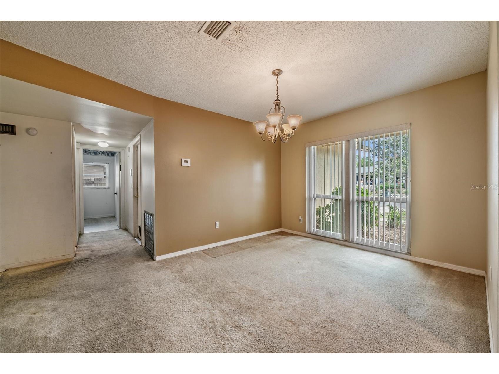 3916 Casaba Loop Valrico FL 33596 TB8496821 image5