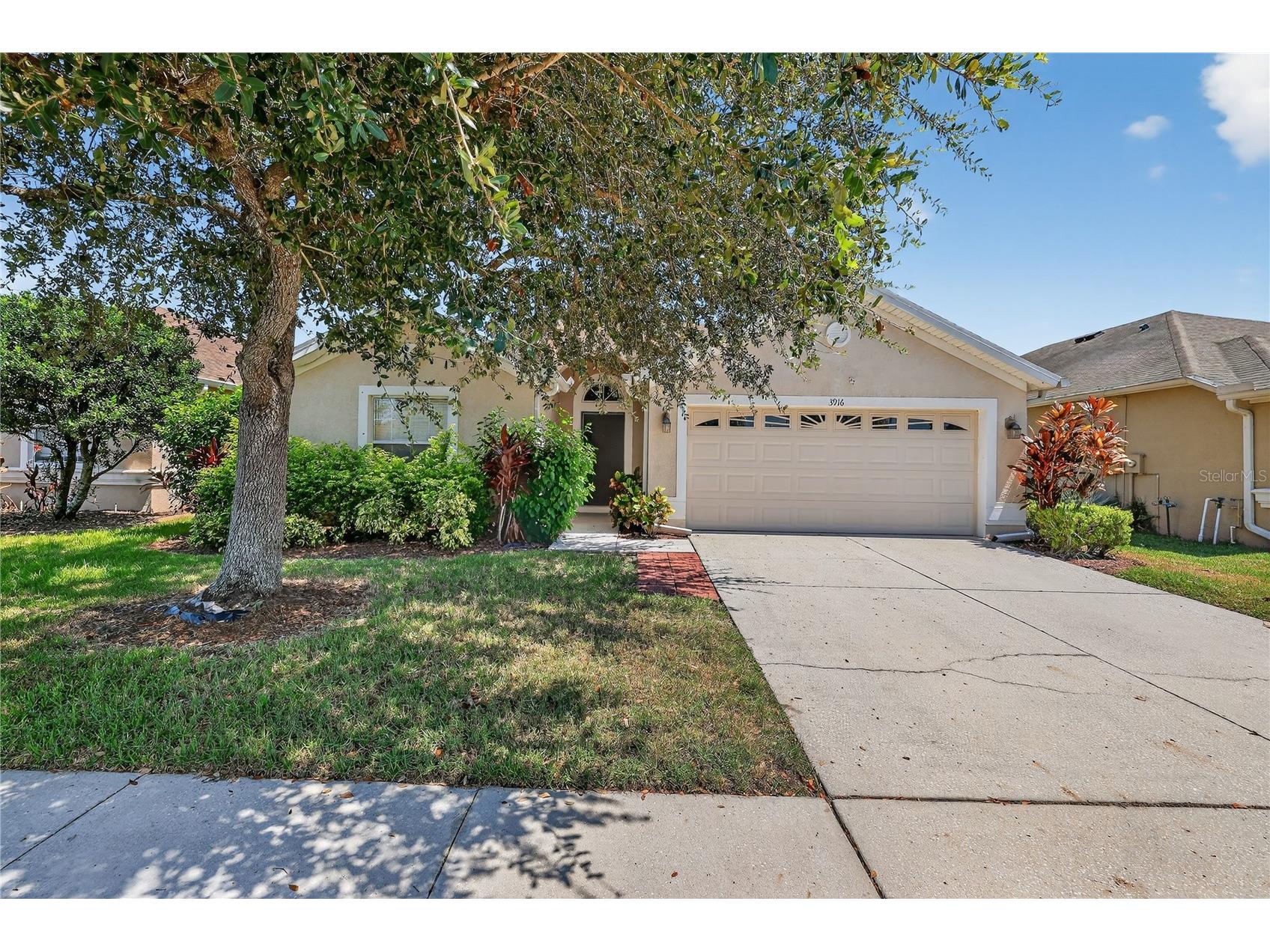 3916 Langdrum Drive Wesley Chapel FL 33543 TB8428801 image1