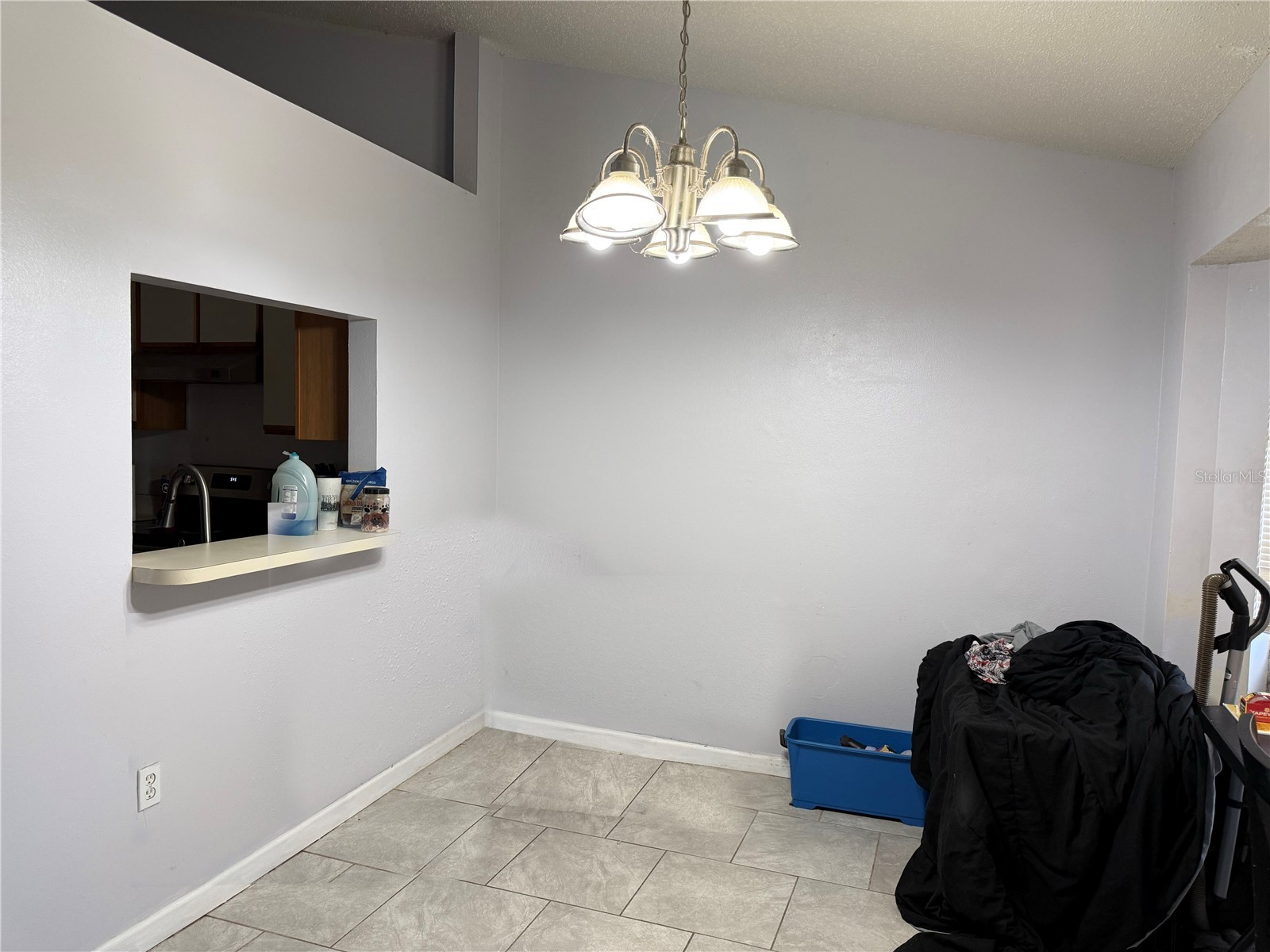 3916 Magnolia Lake Lane Orlando FL 32810 R4910986 image8