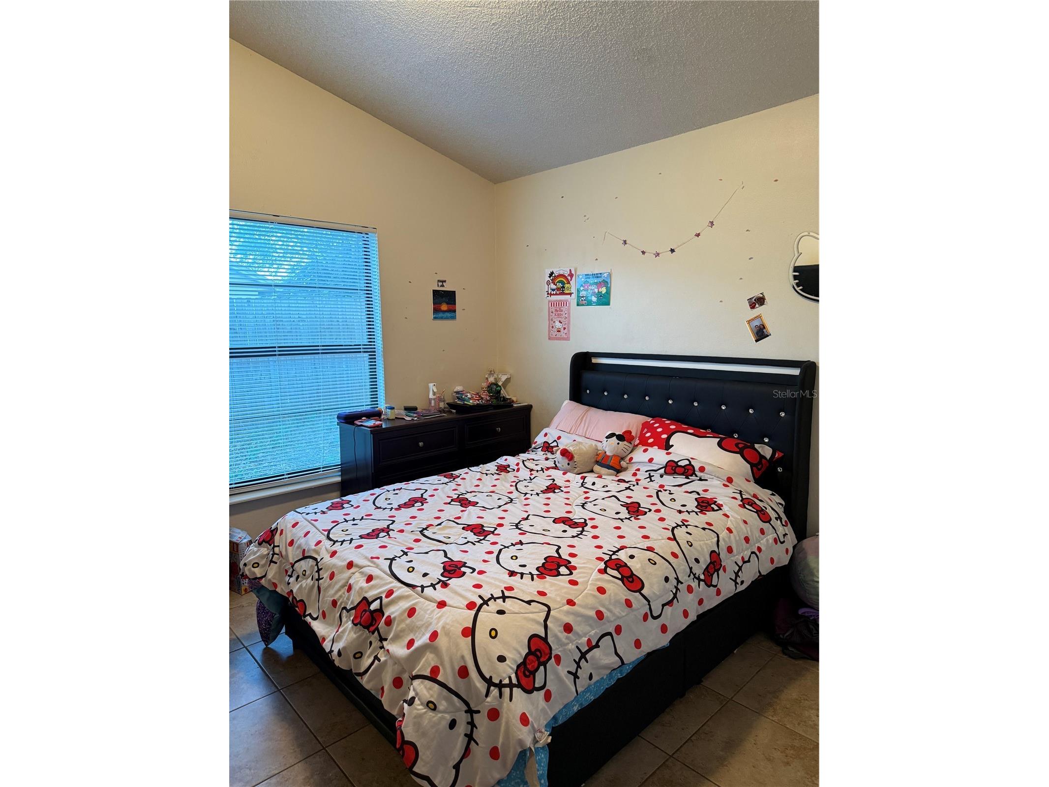 3916 Magnolia Lake Lane Orlando FL 32810 R4910986 image9