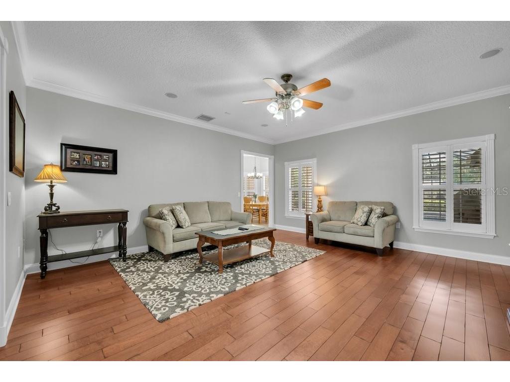 3916 Powerline Road Lithia FL 33547 TB8493853 image21