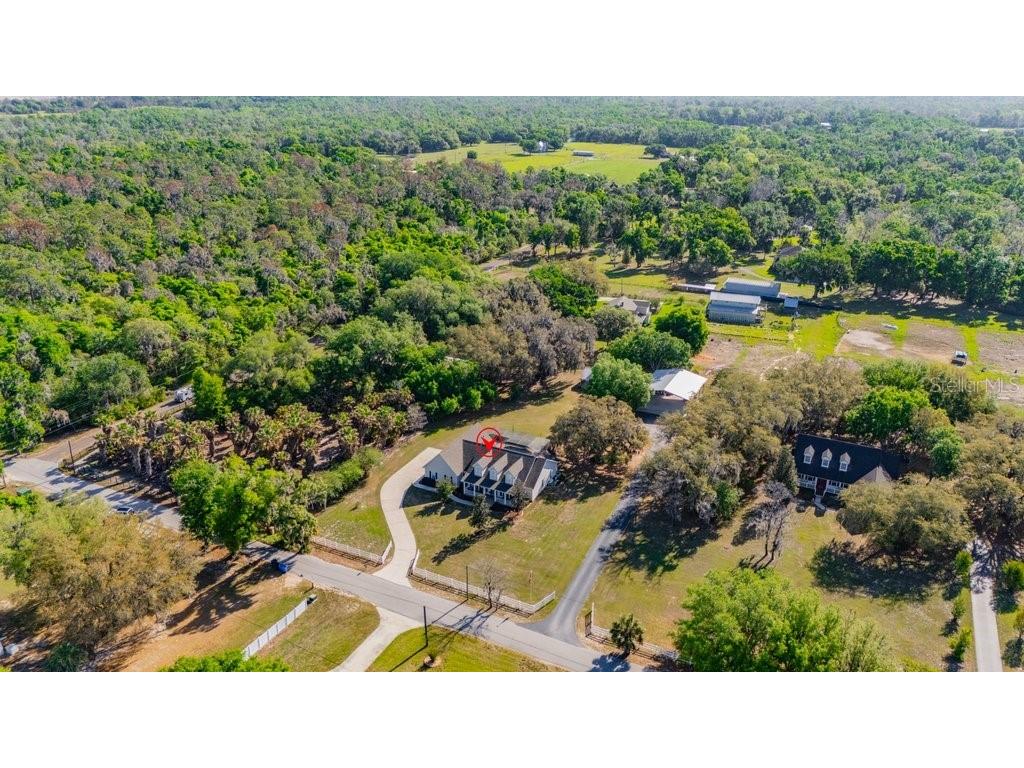 3916 Powerline Road Lithia FL 33547 TB8493853 image60