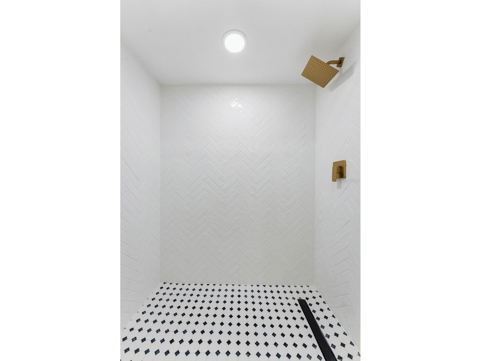 3917 E Eden Roc Circle Tampa FL 33634 TB8504490 image17