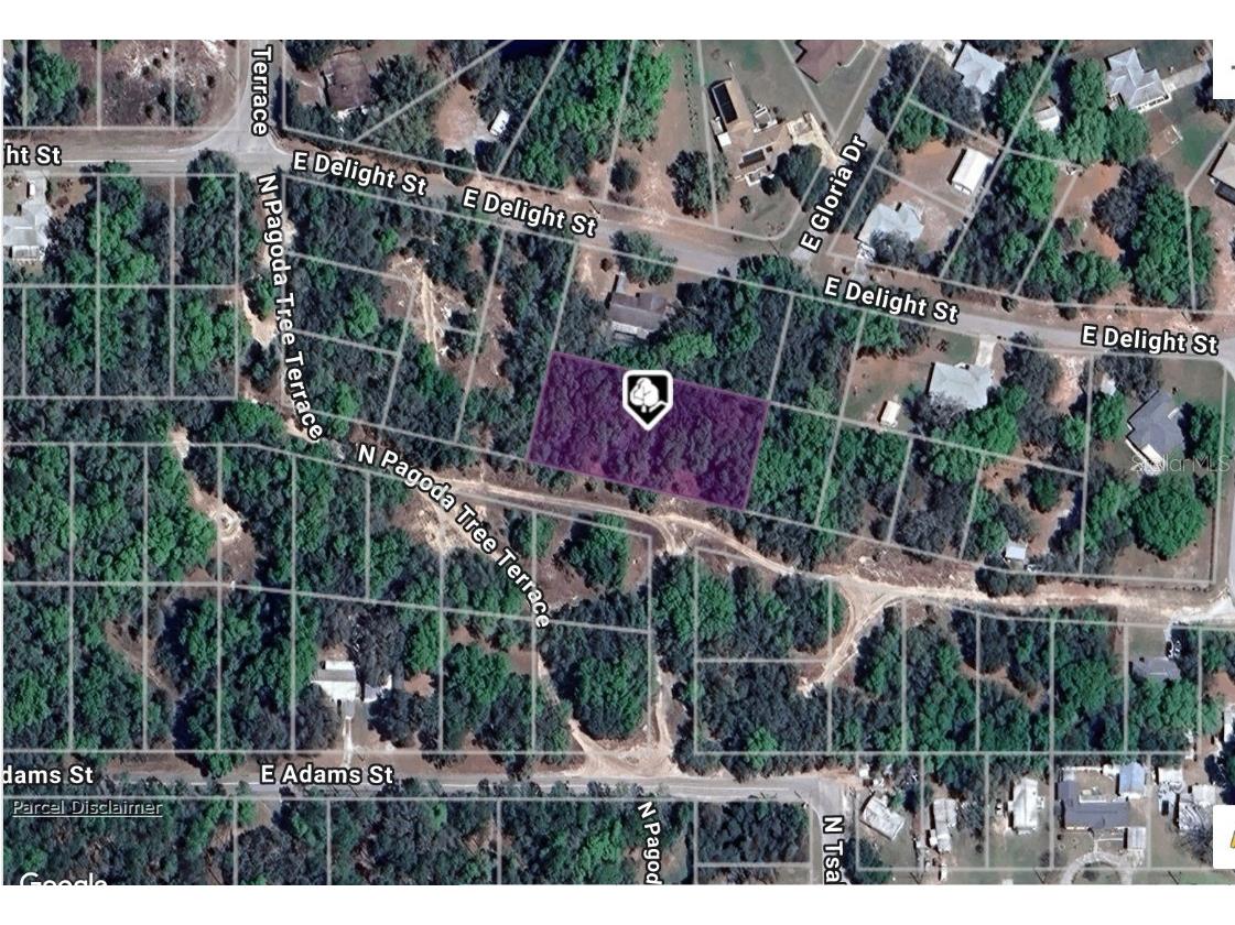3917 E Peggy Street Hernando FL 34442 C7517485 image1