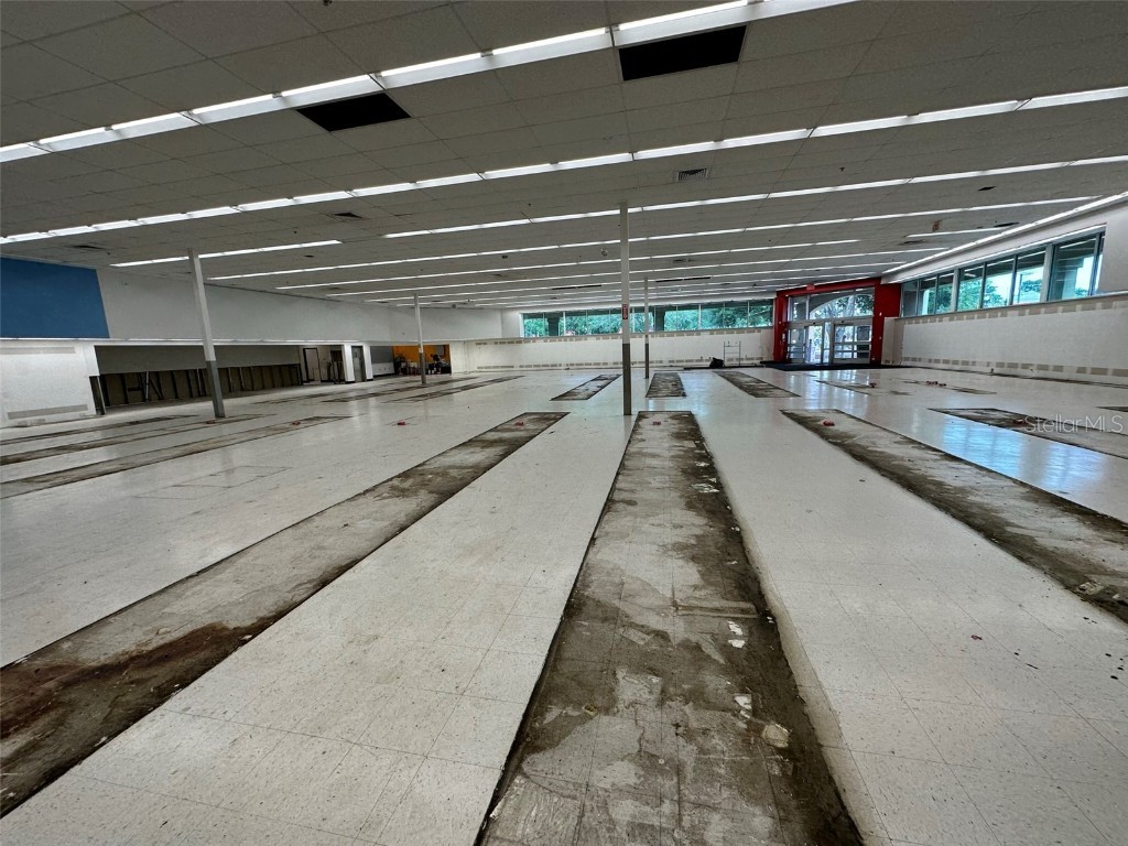 3917 N Nebraska Avenue Tampa FL 33603 T3457969 image13