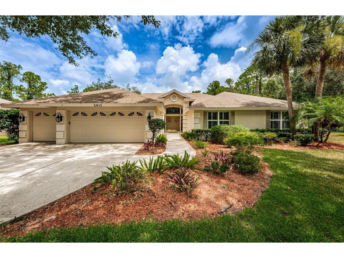3917 Saywood Court Palm Harbor FL 34685 U8206496 image1