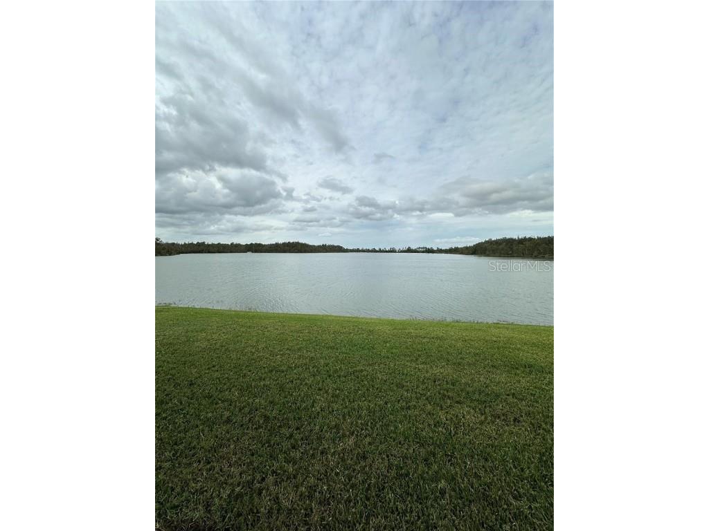 3917 Serenade Lane Lakeland FL 33811 TB8453833 image29