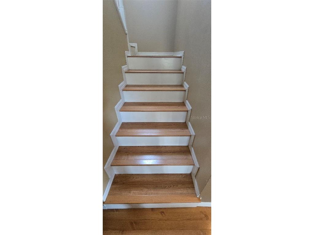 3918 Alafia Boulevard Brandon FL 33511 - ALAFIA RIVER TB8446955 image13