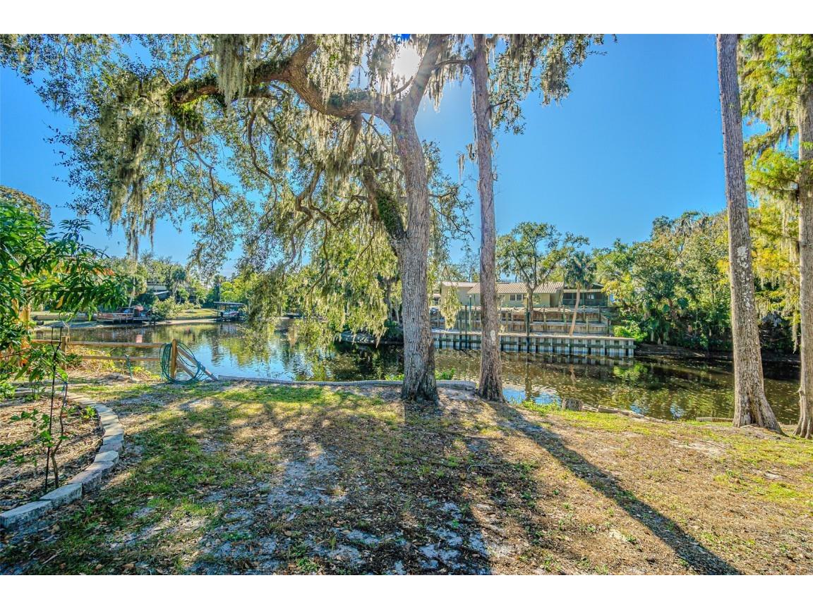 3918 Alafia Boulevard Brandon FL 33511 - ALAFIA RIVER TB8446955 image44