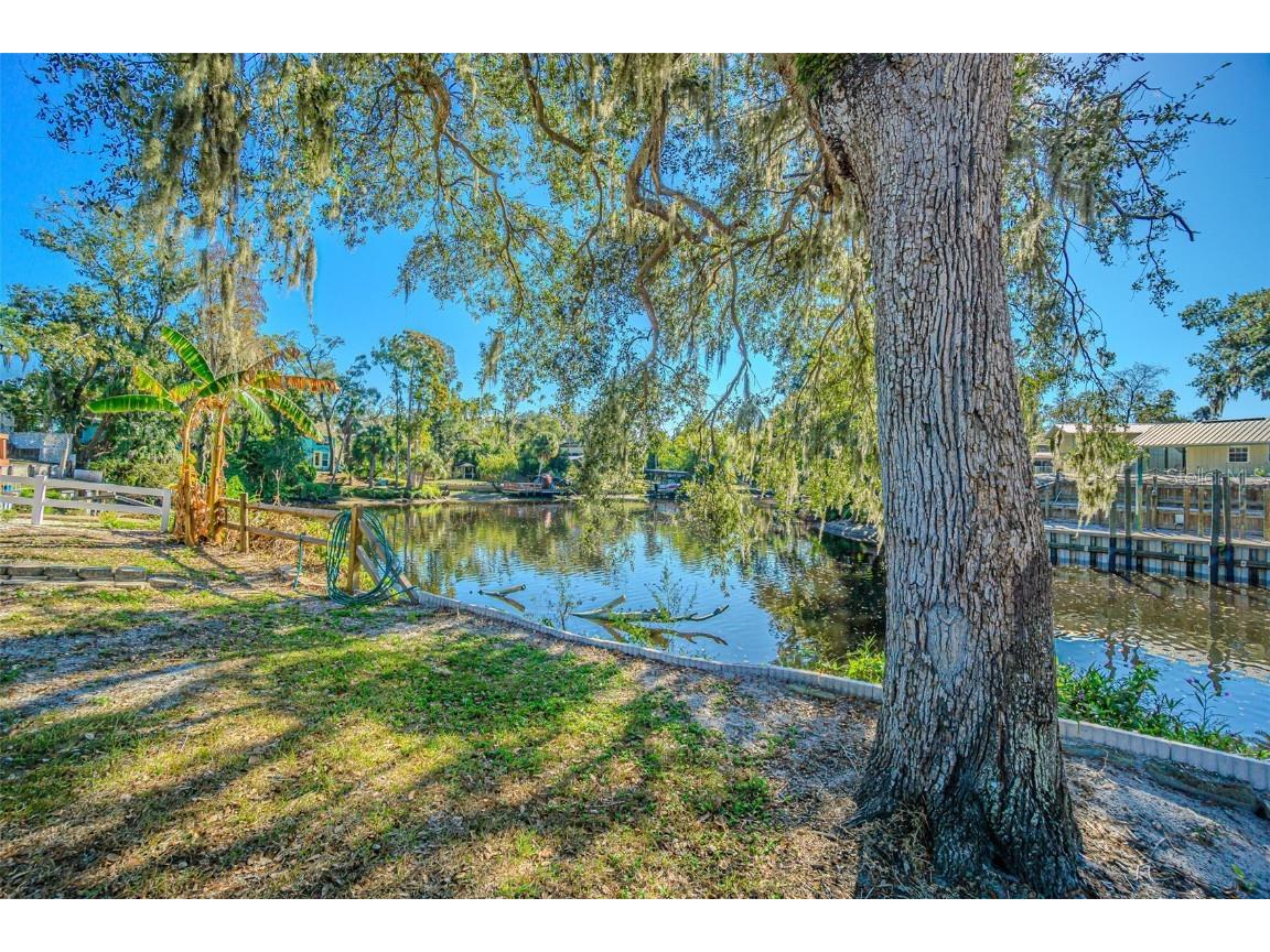 3918 Alafia Boulevard Brandon FL 33511 - ALAFIA RIVER TB8446955 image45
