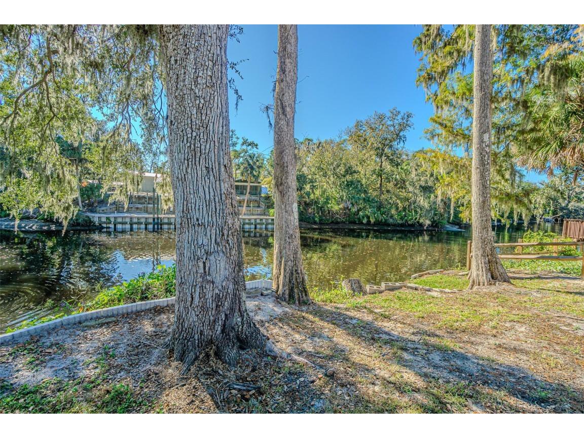 3918 Alafia Boulevard Brandon FL 33511 - ALAFIA RIVER TB8446955 image46