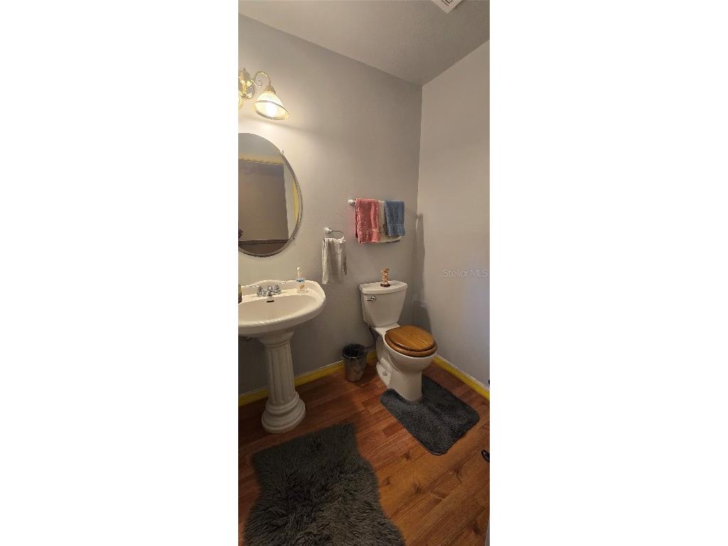 3918 Alafia Boulevard Brandon FL 33511 - ALAFIA RIVER TB8446955 image8