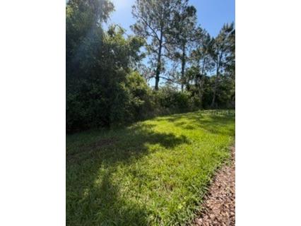 3918 Gaviota Drive Sun City Center FL 33573 L4961418 image25
