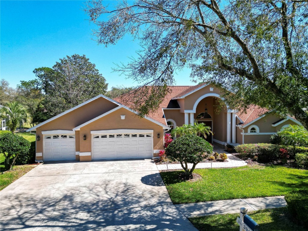 3918 S Nine Drive Valrico FL 33596 T3505716 image1