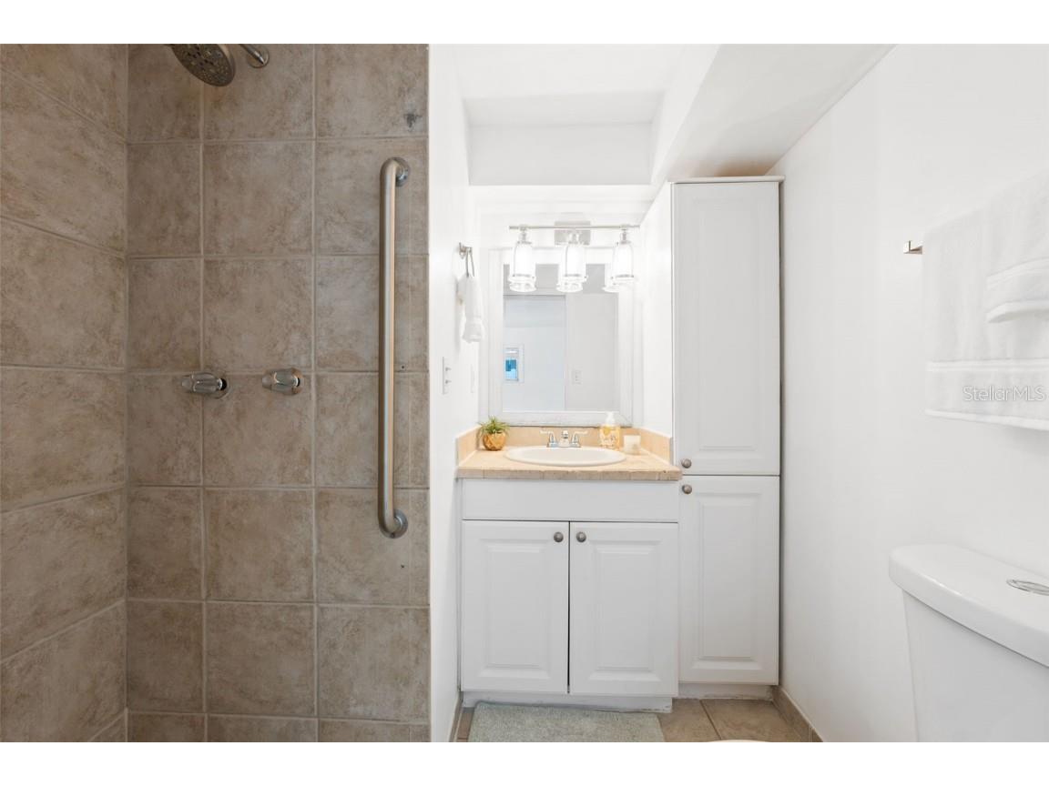 3918 W Fig Street Tampa FL 33609 TB8324485 image19