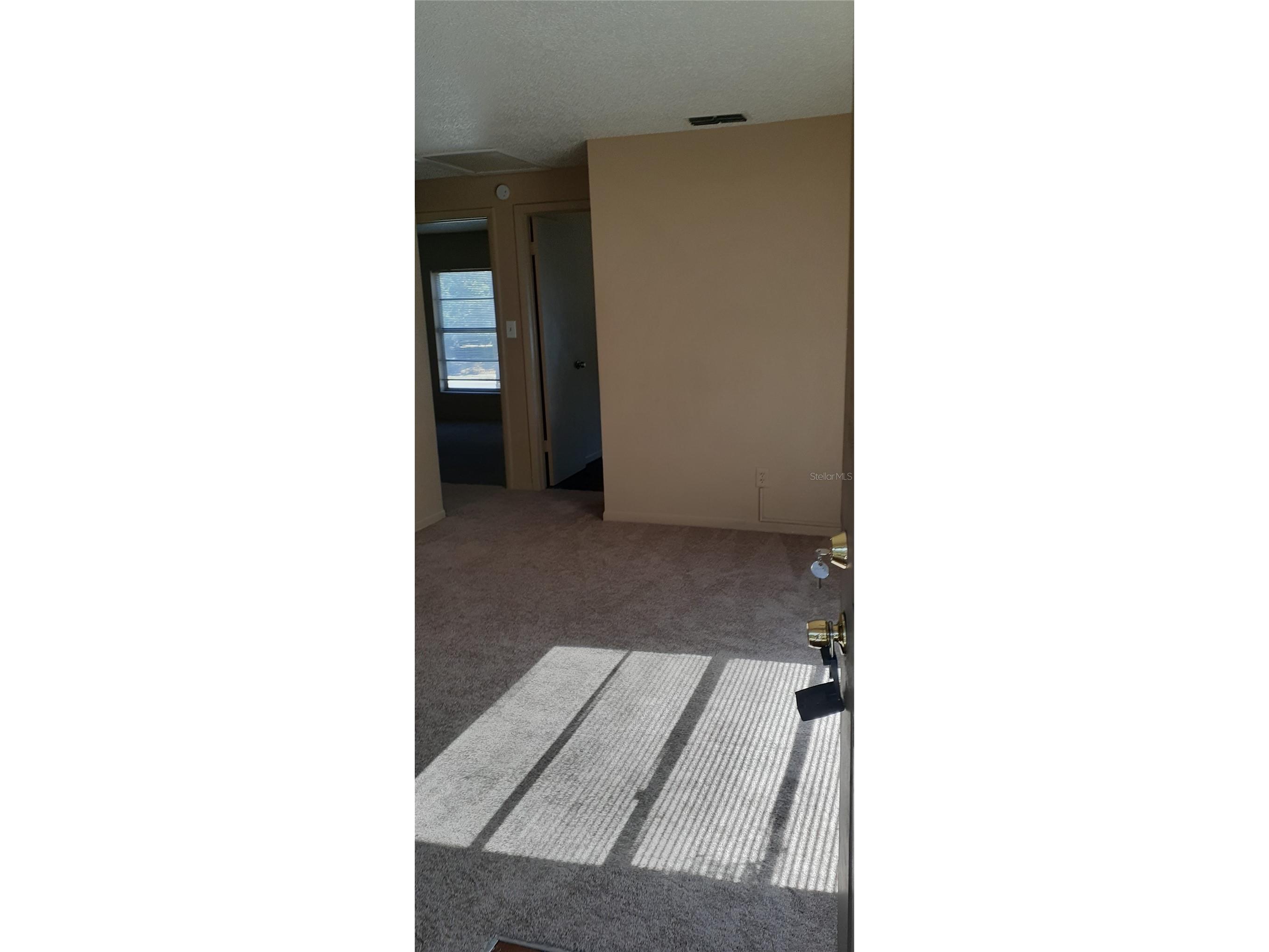 3919 E Fern Street #4 Tampa FL 33610 TB8469463 image2