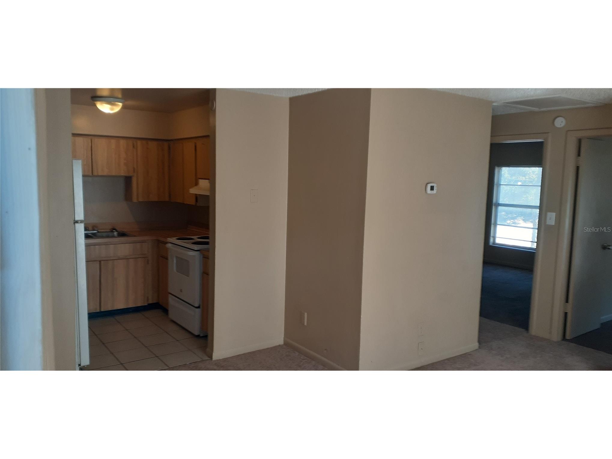 3919 E Fern Street #4 Tampa FL 33610 TB8469463 image4