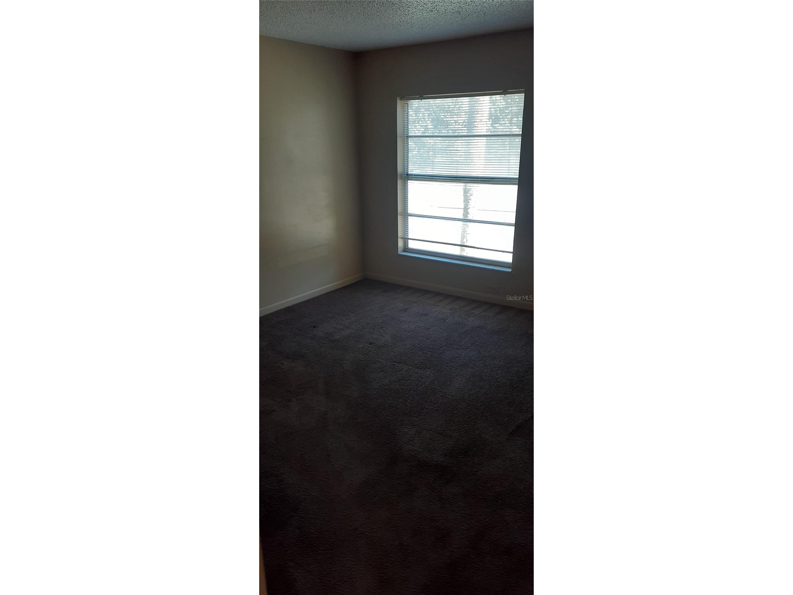 3919 E Fern Street #4 Tampa FL 33610 TB8469463 image7