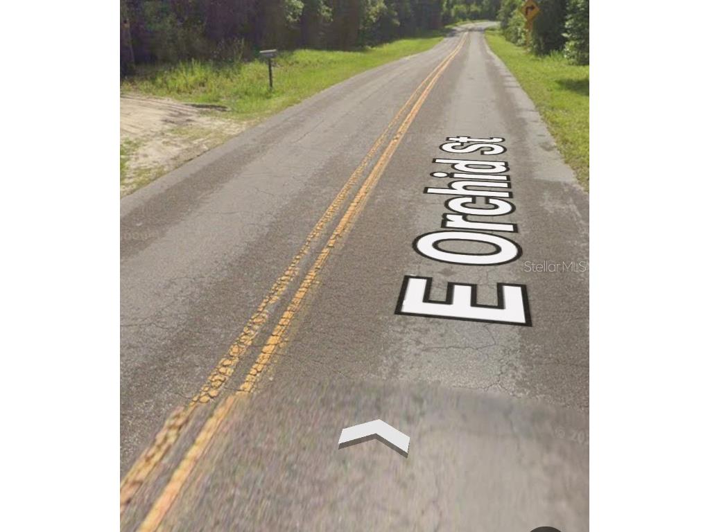 3919 E Orchid Street Hernando FL 34442 OM704599 image11