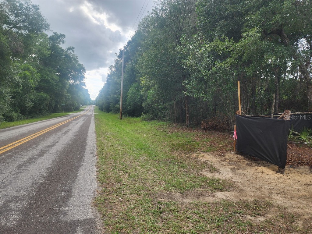 3919 E Orchid Street Hernando FL 34442 OM704599 image3