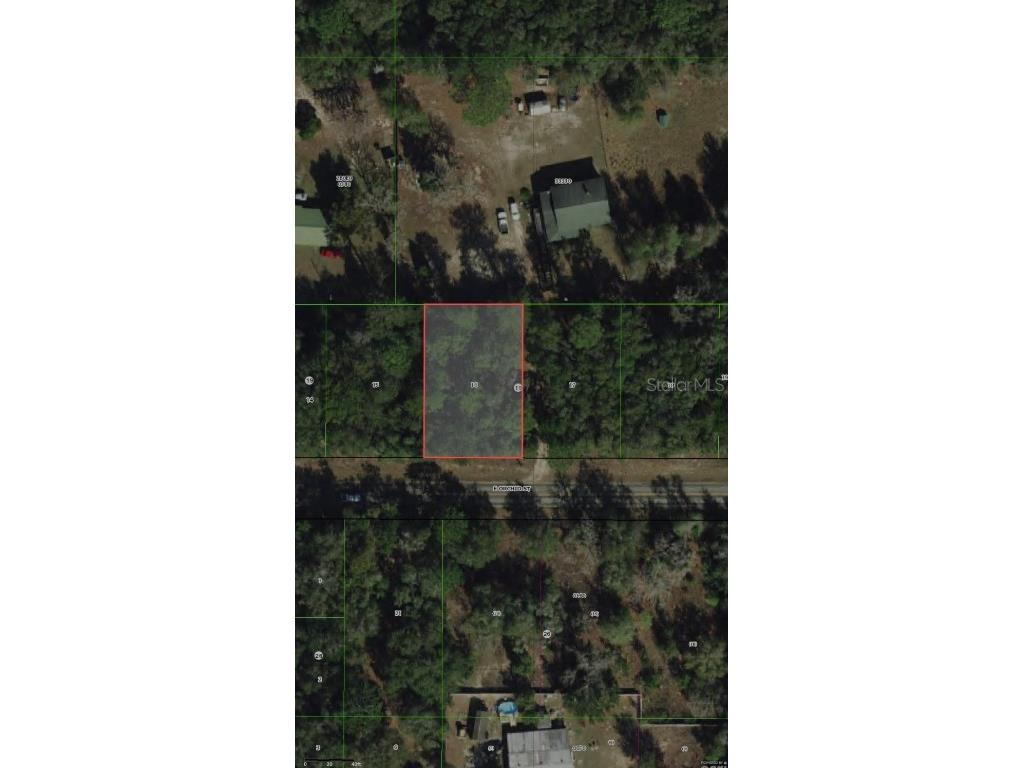 3919 E Orchid Street Hernando FL 34442 OM704599 image7