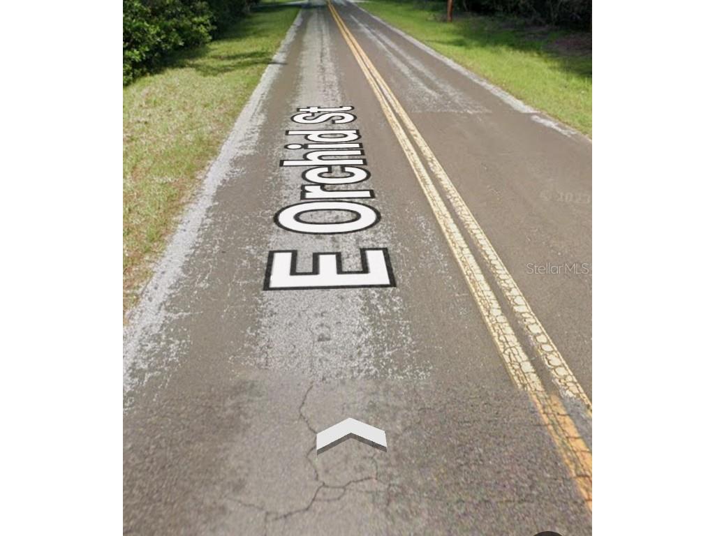 3919 E Orchid Street Hernando FL 34442 OM704599 image8