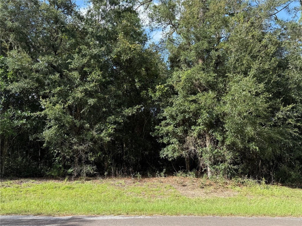 3919 E Orchid Street Hernando FL 34442 TB8307856 image1