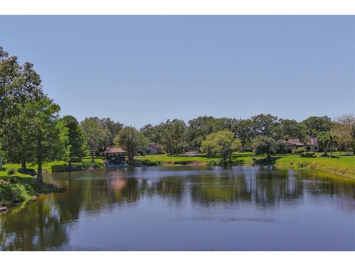 3919 Glen Oaks Manor Drive Sarasota FL 34232 A4652669 image49